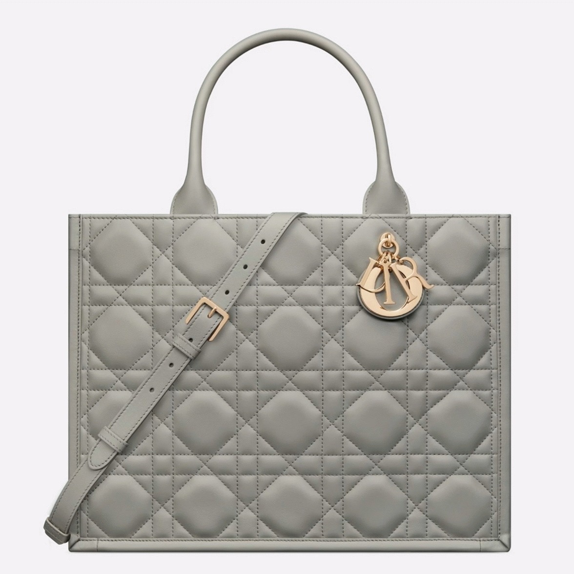 D10r Medium Book Tote Bag Replica with Strap in Grey