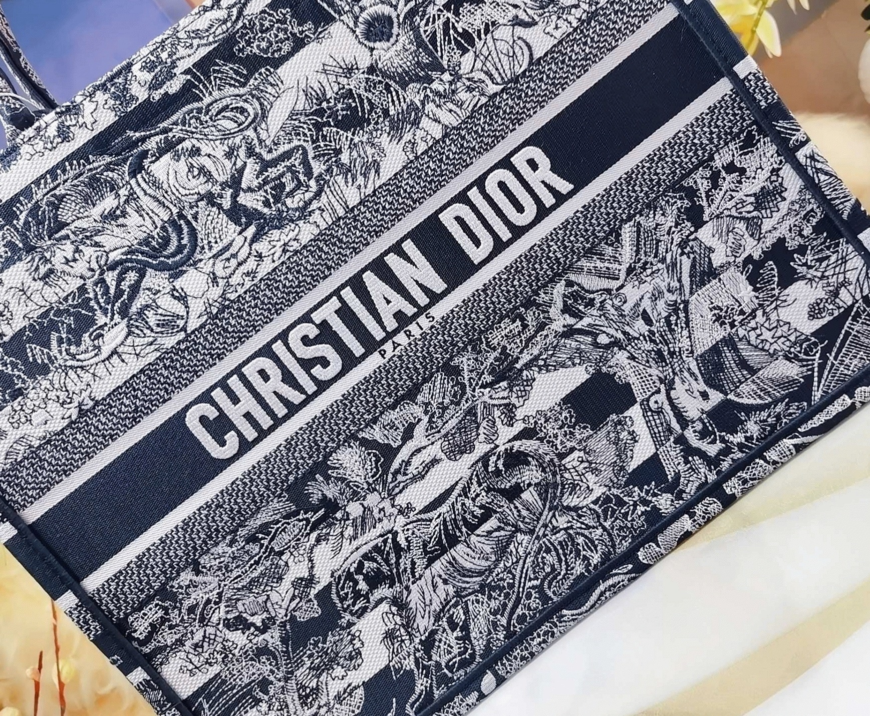 D10r Large Book Tote Bag Fake in Blue Toile de Jouy Stripes Embroidery