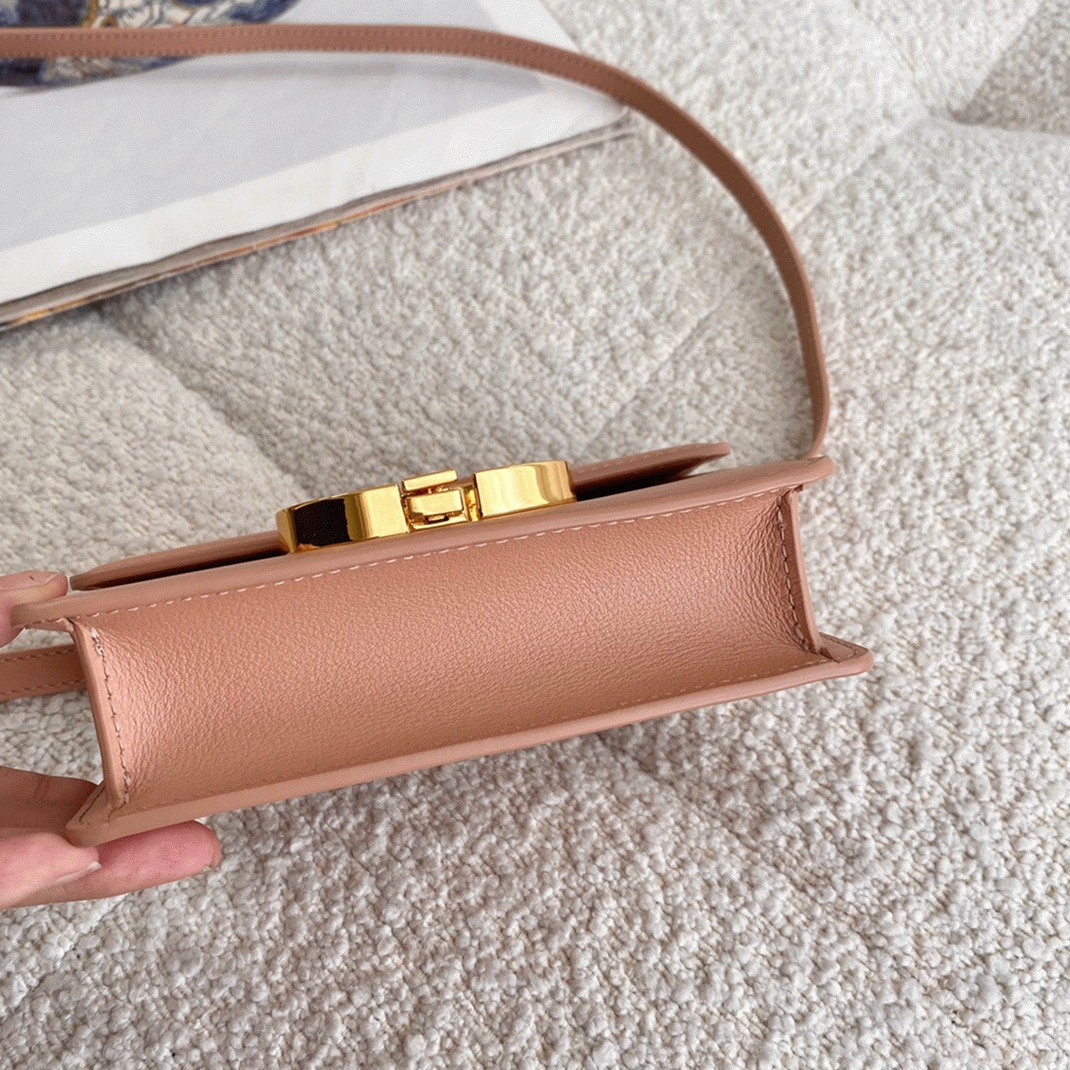 D10r 30 Montaigne Micro Bag Replica in Poudre Box Calfskin