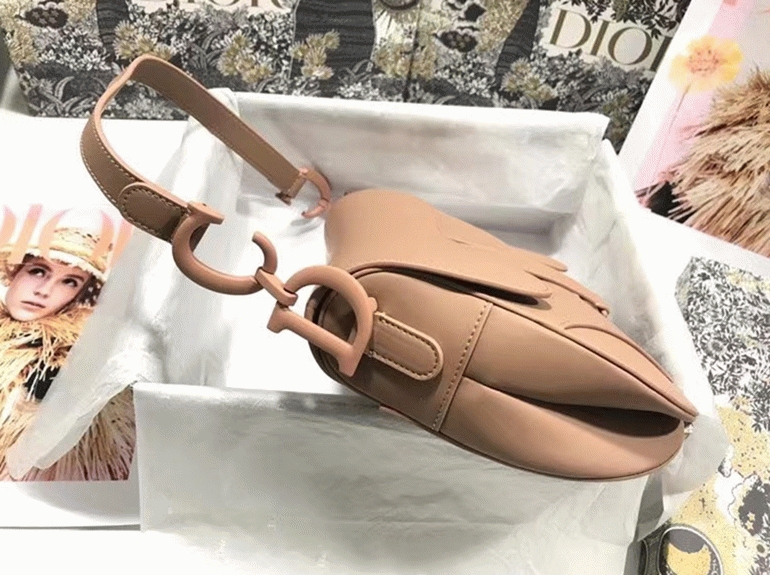 D10r Saddle Bag Replica in Blush Ultramatte Calfskin