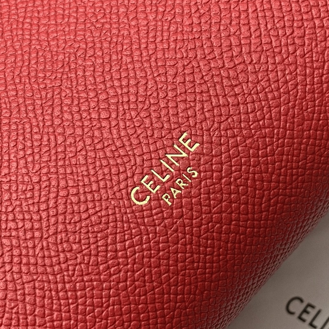 Ce1i*e Belt Nano Bag Knockoff in Red