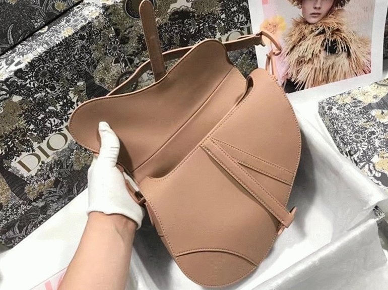 D10r Saddle Bag Replica in Blush Ultramatte Calfskin