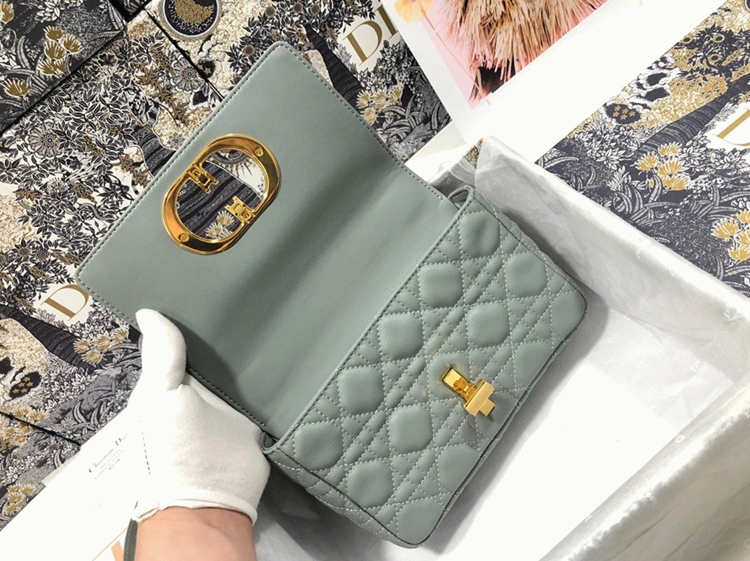 D10r Caro Small Bag Replica in Grey