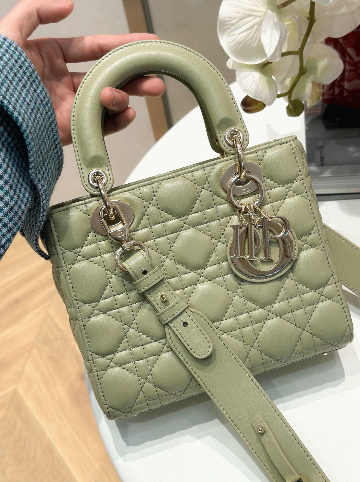 D10r Small Lady D10r My ABCD10r Bag Knockoff in Ethereal Green
