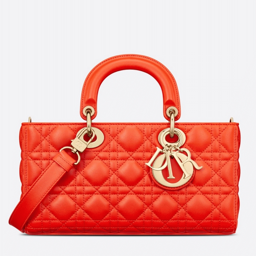 D10r Lady D-Joy Medium Bag Replica in Orange