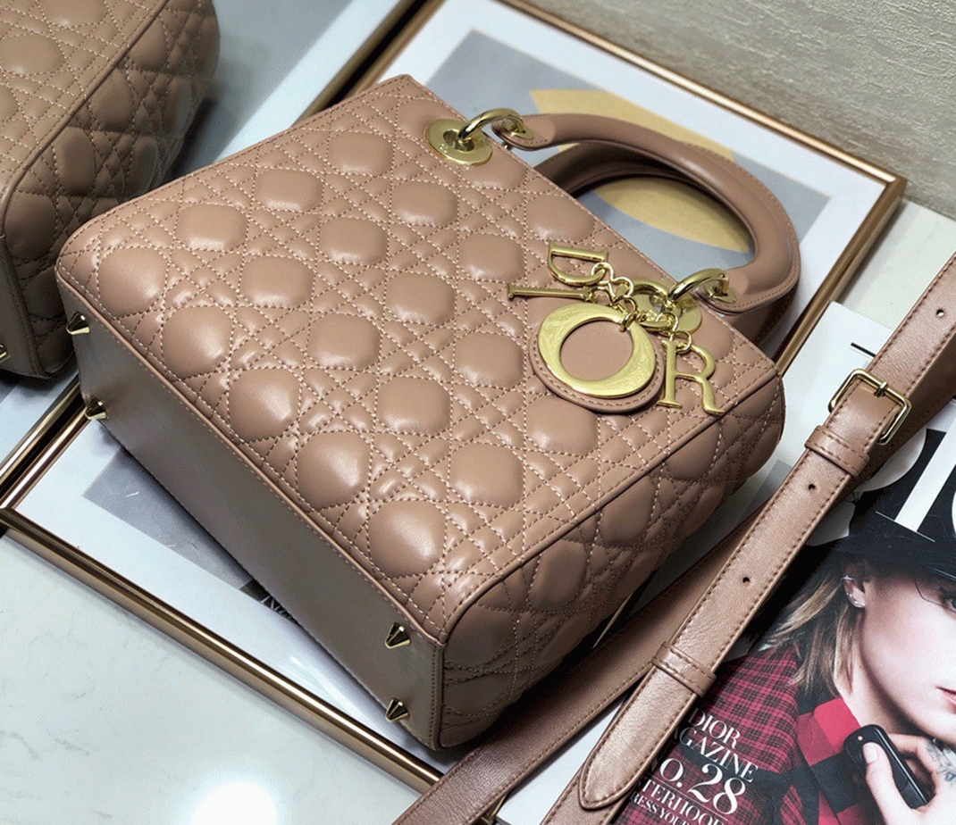 D10r Lady D10r Medium Bag Fake in Blush