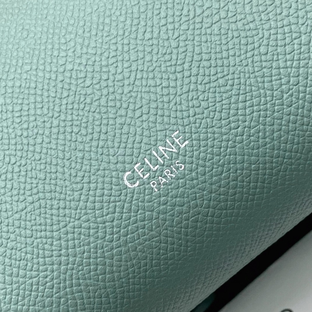 Ce1i*e Belt Nano Bag Fake in Celadon