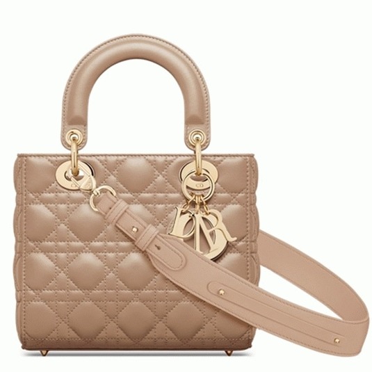 D10r Small Lady D10r My ABCD10r Bag Fake in Hazelnut Lambskin