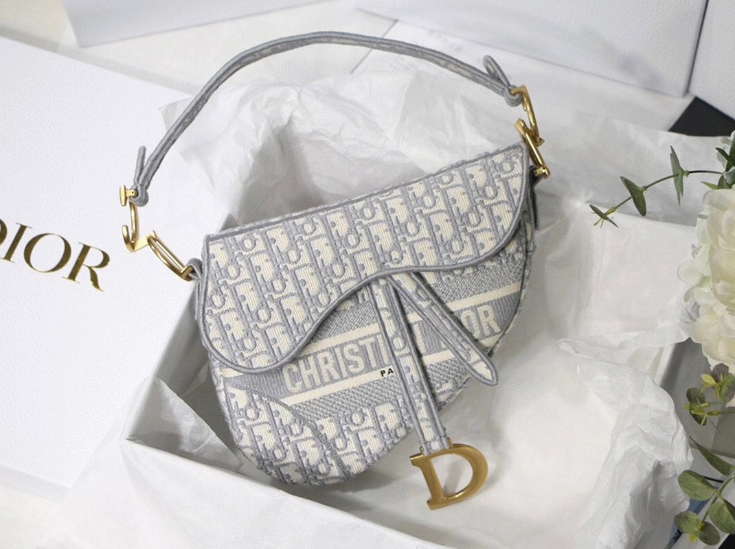 D10r Saddle Bag Knockoff in Grey D10r Oblique Embroidery