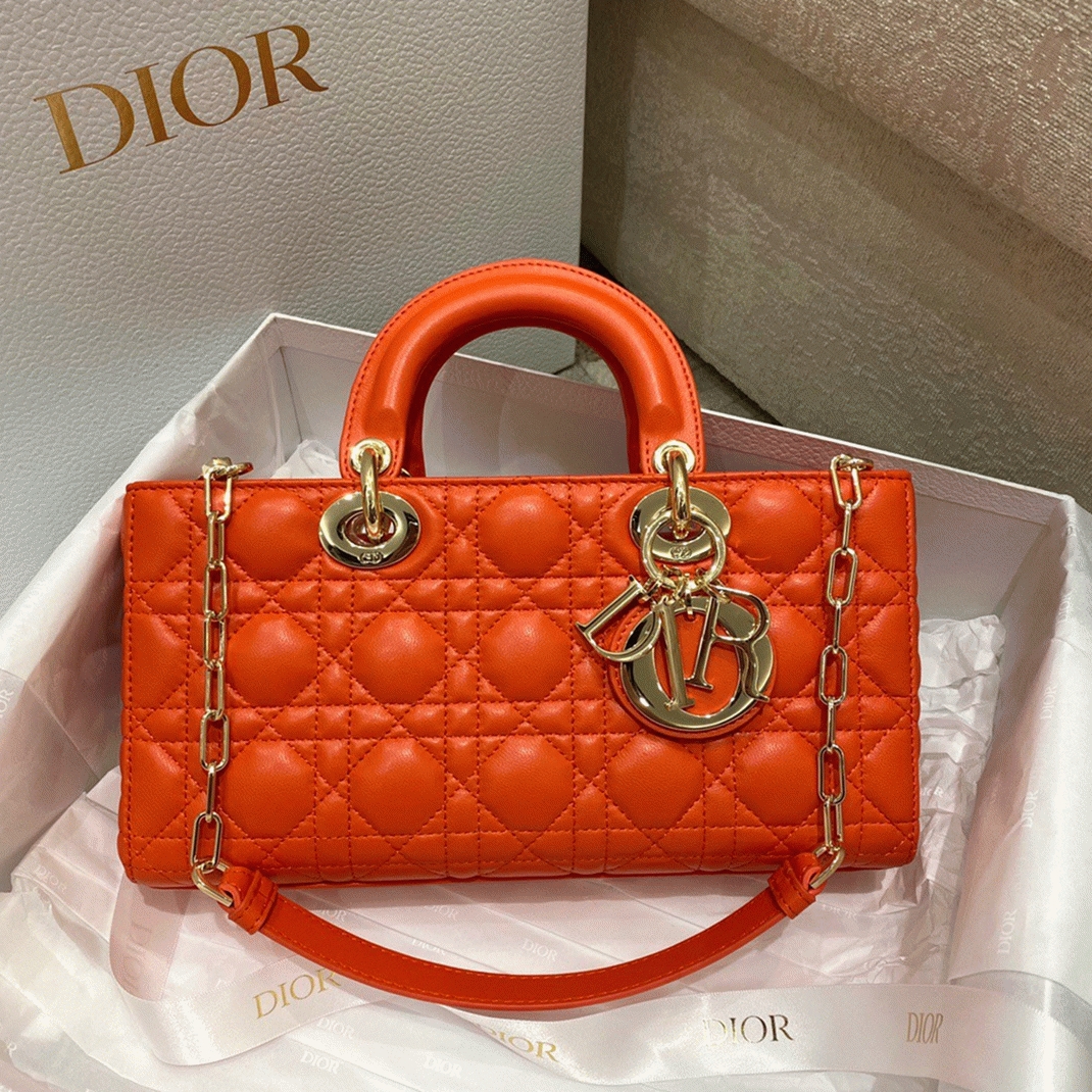 D10r Lady D-Joy Medium Bag Replica in Orange
