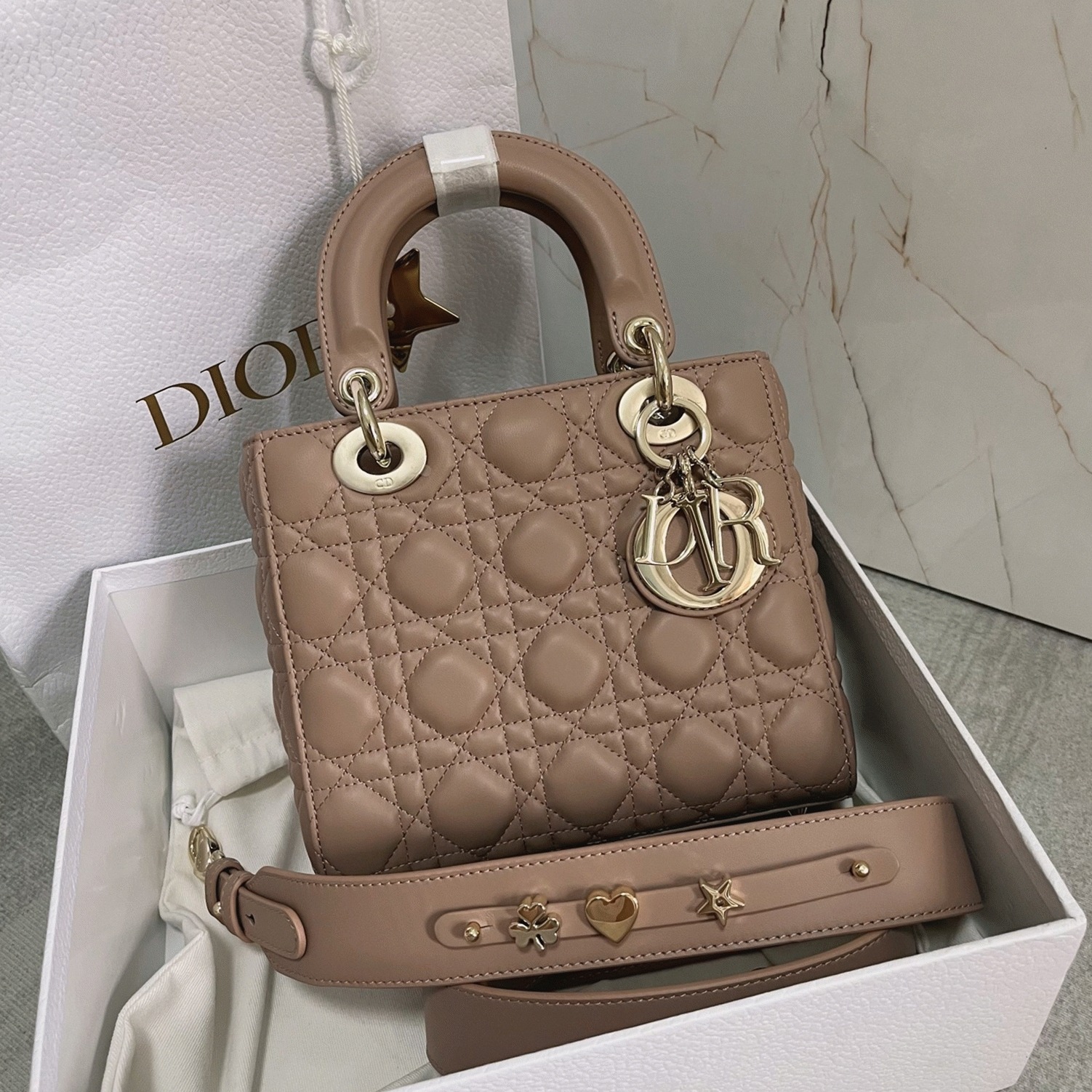 D10r Small Lady D10r My ABCD10r Bag Fake in Hazelnut Lambskin