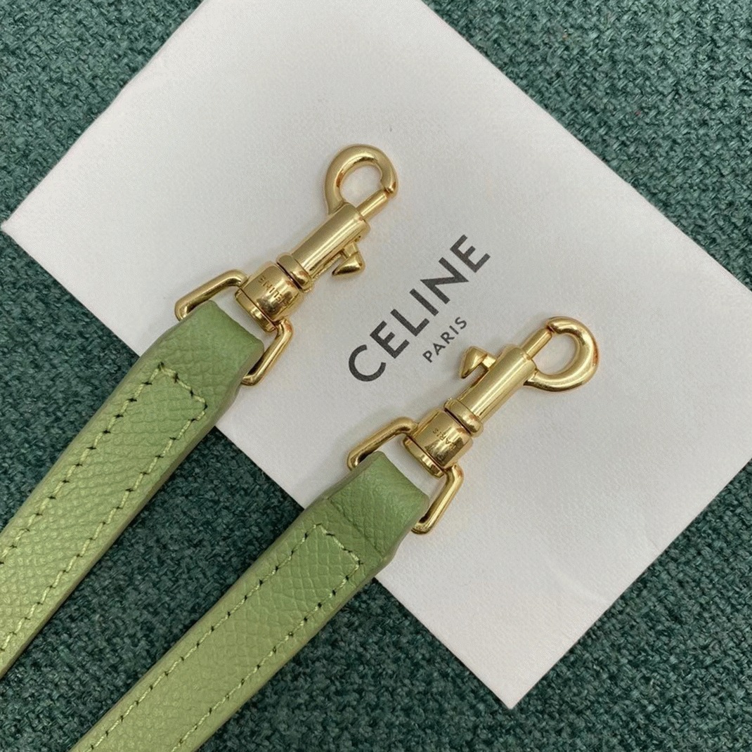 Ce1i*e Belt Nano Bag Fake in Sage