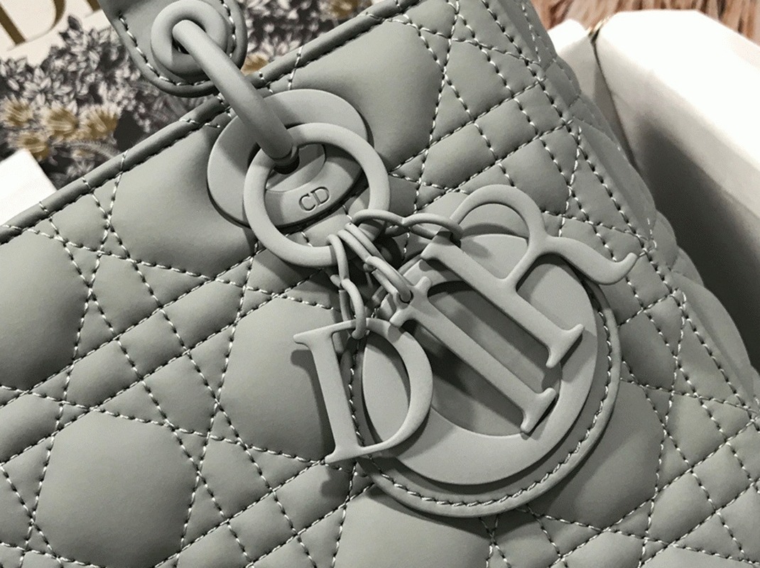 D10r Lady D10r Medium Bag Replica in Grey