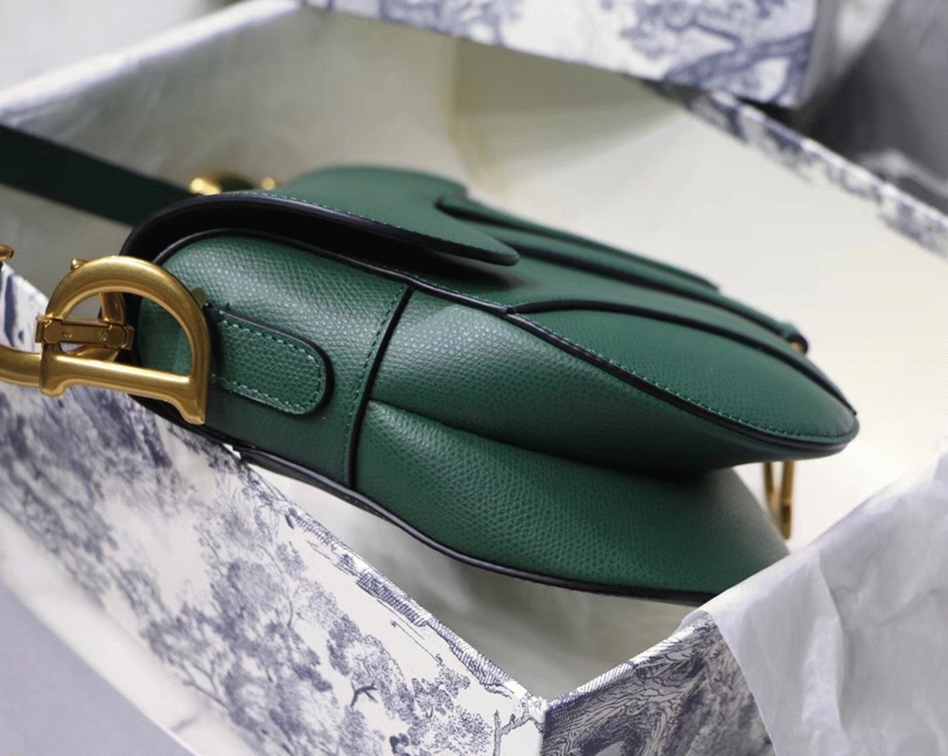 D10r Saddle Bag Faux in Green Grained Calfskin