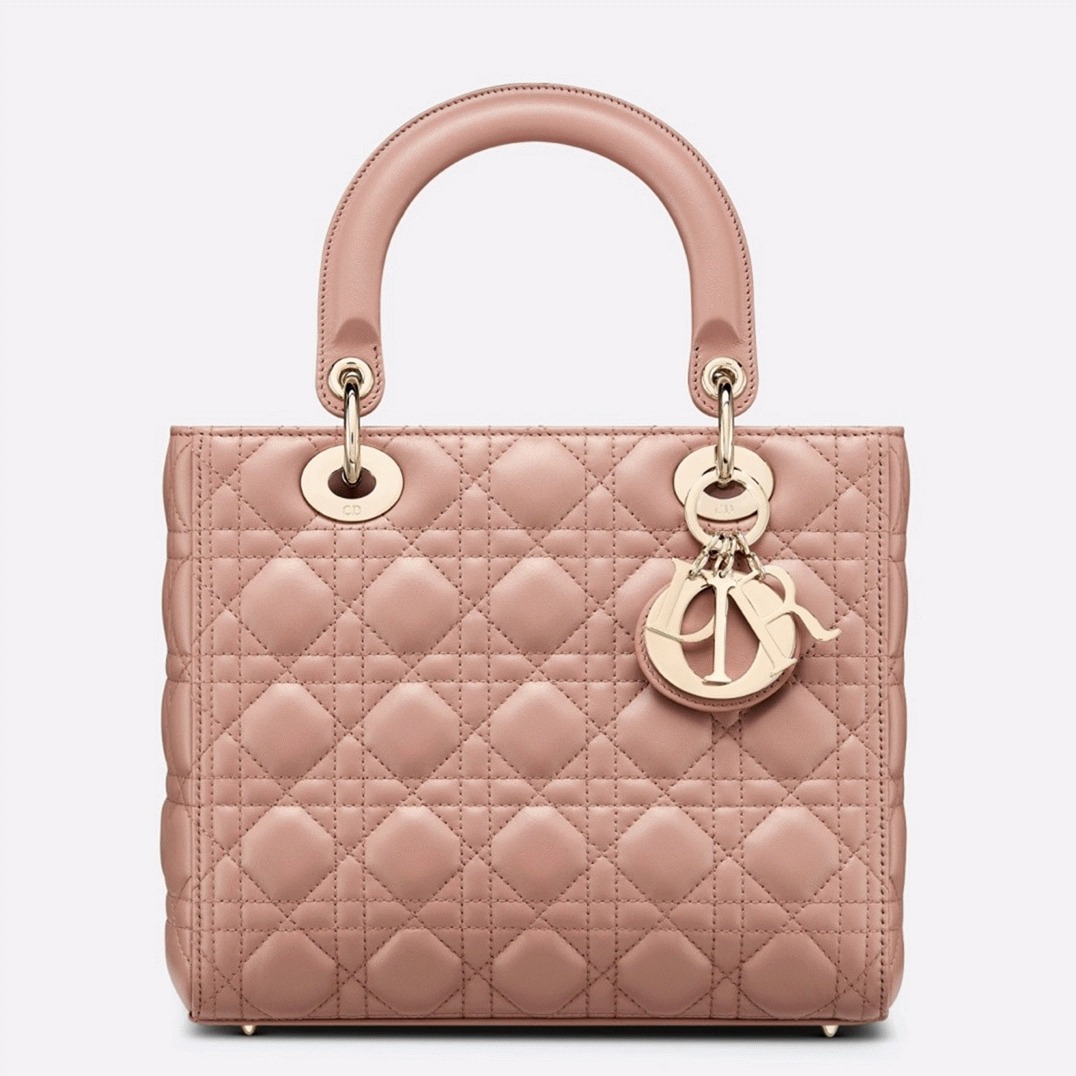 D10r Lady D10r Medium Bag Fake in Blush