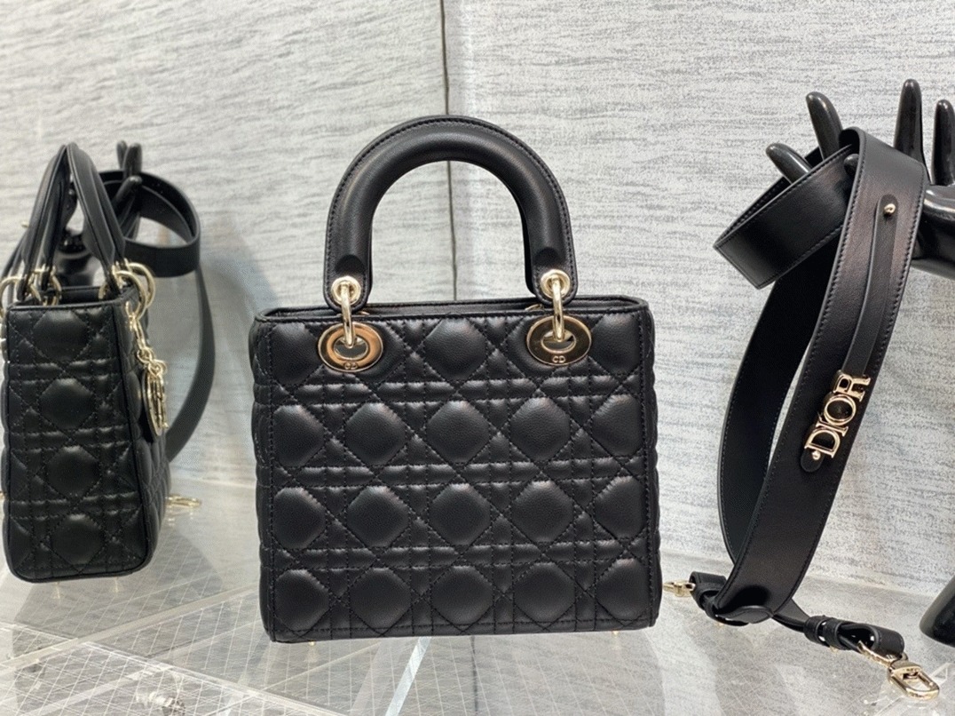 D10r Small Lady D10r Bag Replica in Black