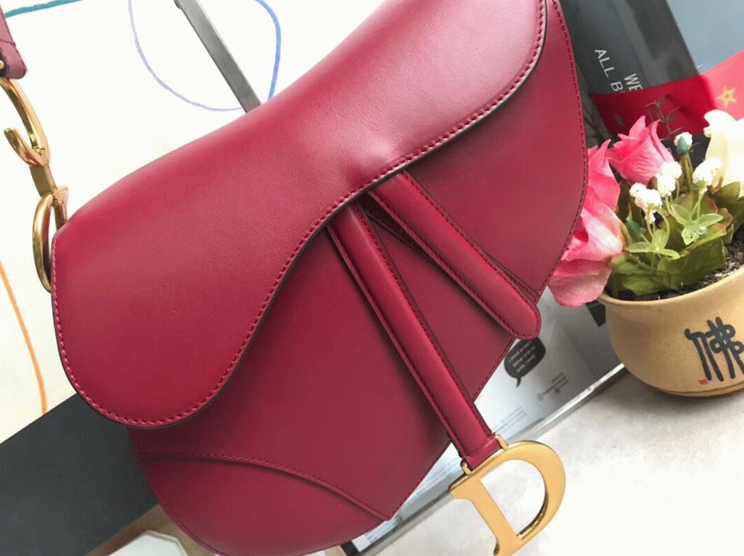 D10r Saddle Bag Replica in Red Smooth Calfskin