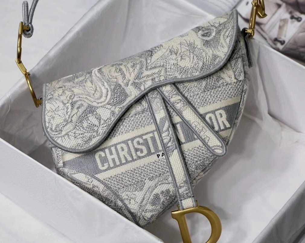 D10r Saddle Bag Fake in Grey Toile de Jouy Embroidery