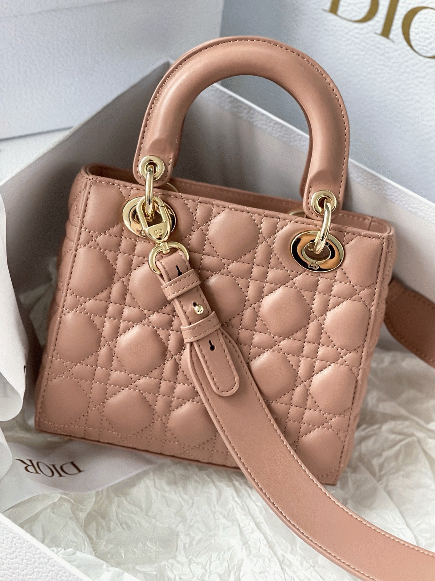 D10r Small Lady D10r My ABCD10r Bag Imitation in Blush