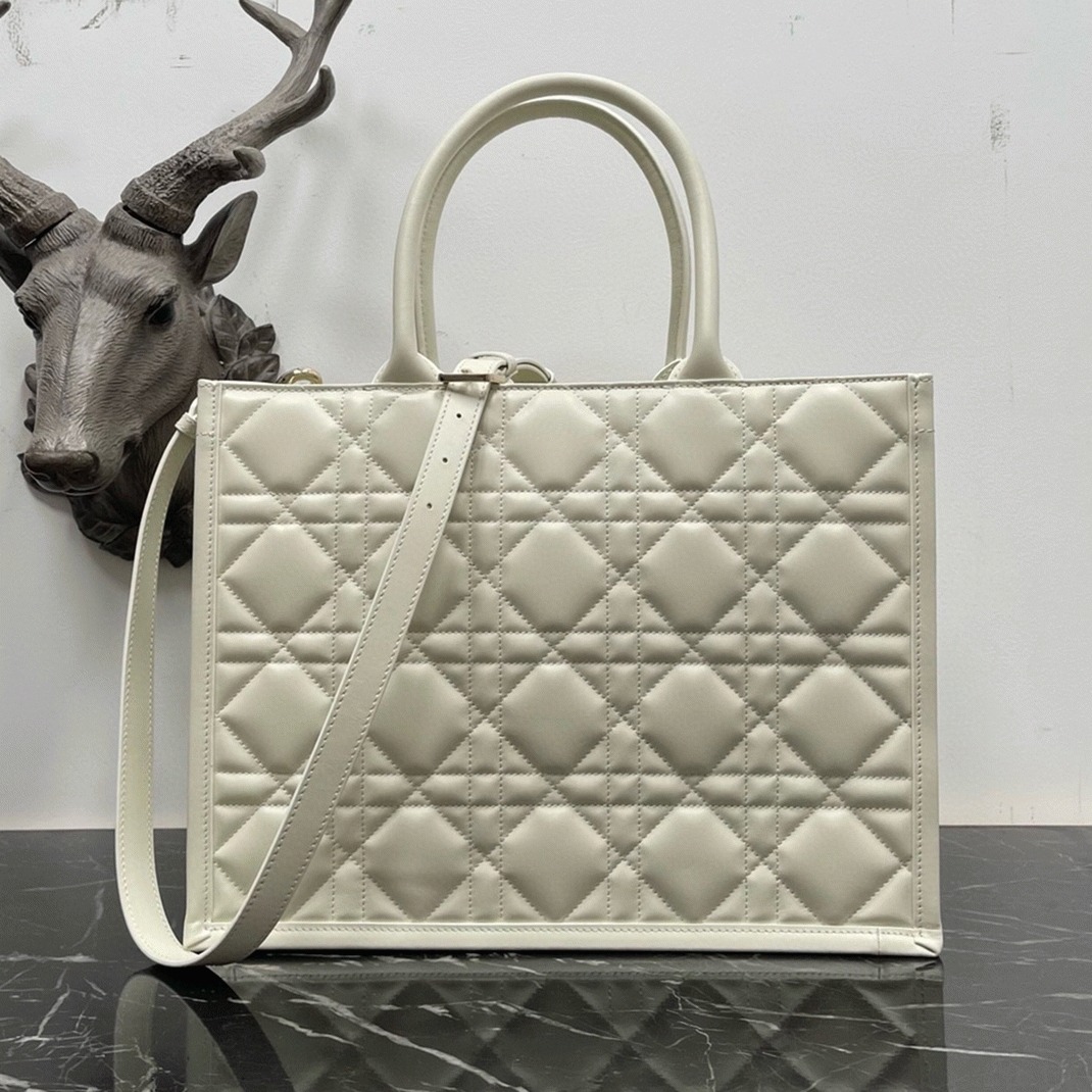 D10r Medium Book Tote Bag Knockoff with Strap in White