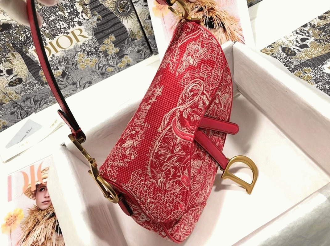 D10r Saddle Bag Imitation in Red Toile de Jouy Reverse Jacquard