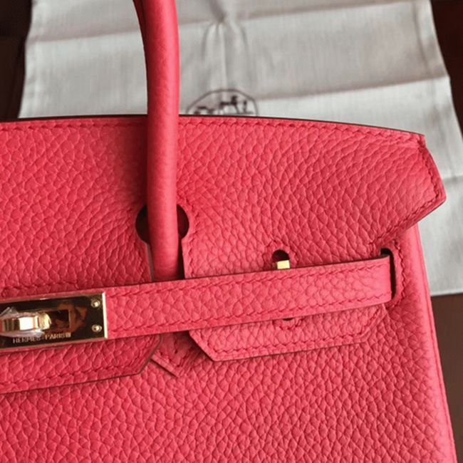 Bougainvillier H**me5 Birkin 25cm Top-Quality Fake