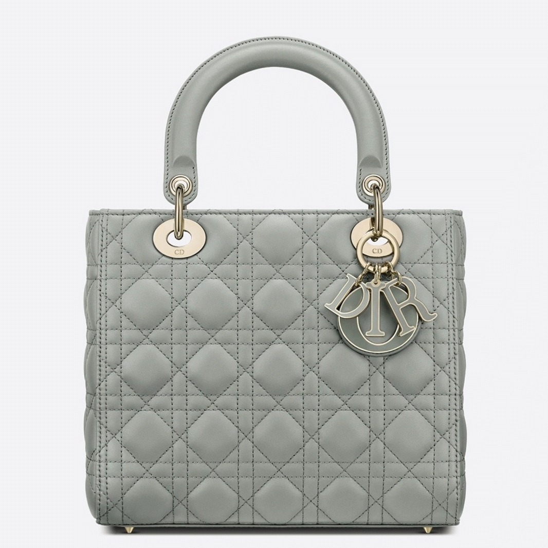 D10r Lady D10r Medium Bag Replica in Grey