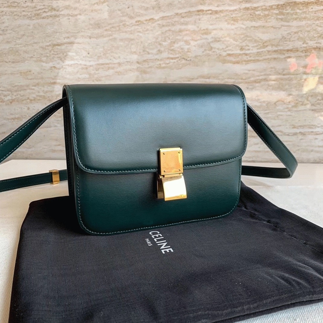Top Quality Fake Ce1i*e Classic Box Teen Bag In Amazone