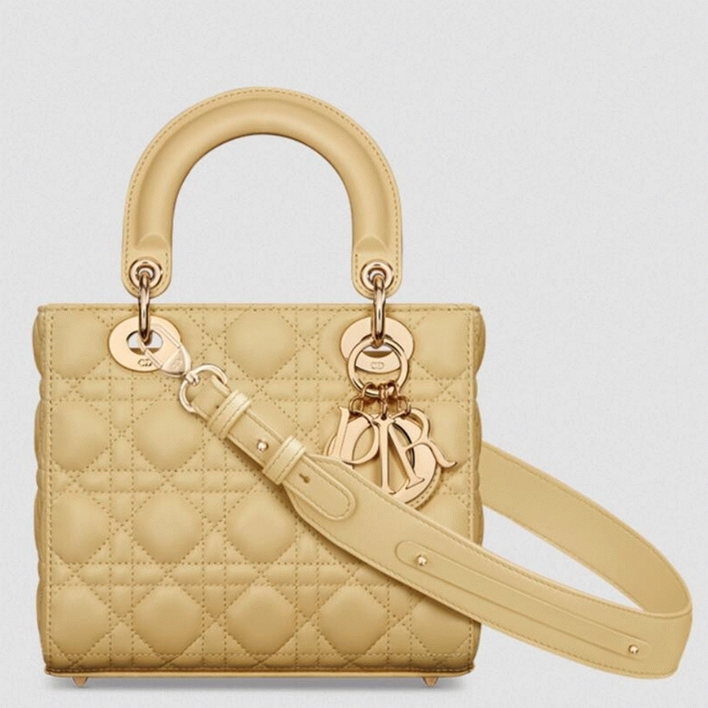 D10r Small Lady D10r My ABCD10r Bag Fake in Pastel Yellow
