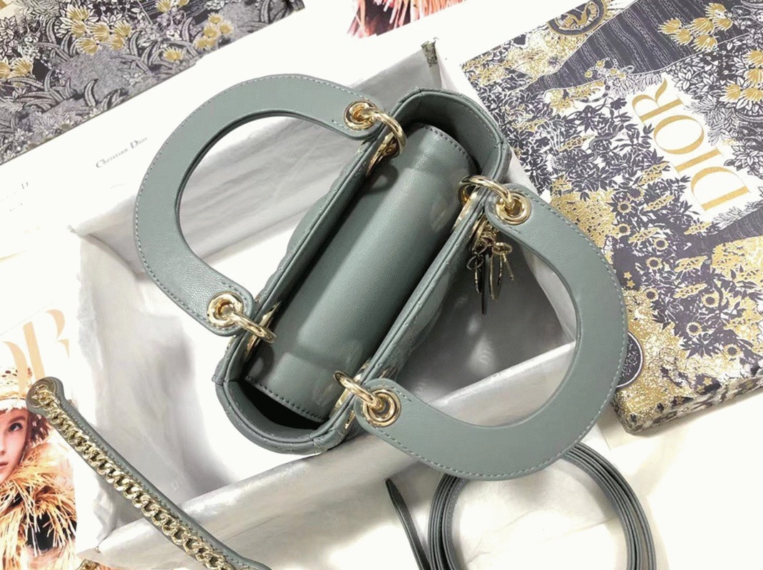 D10r Lady D10r Mini Bag Replica in Grey