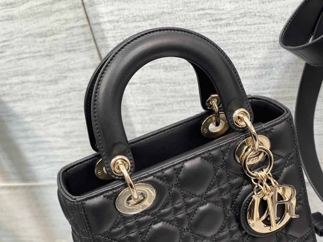 D10r Small Lady D10r Bag Replica in Black