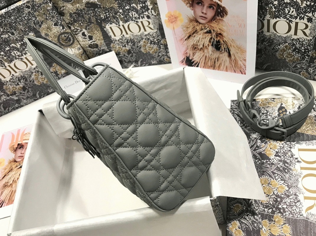 D10r Lady D10r Medium Bag Replica in Grey