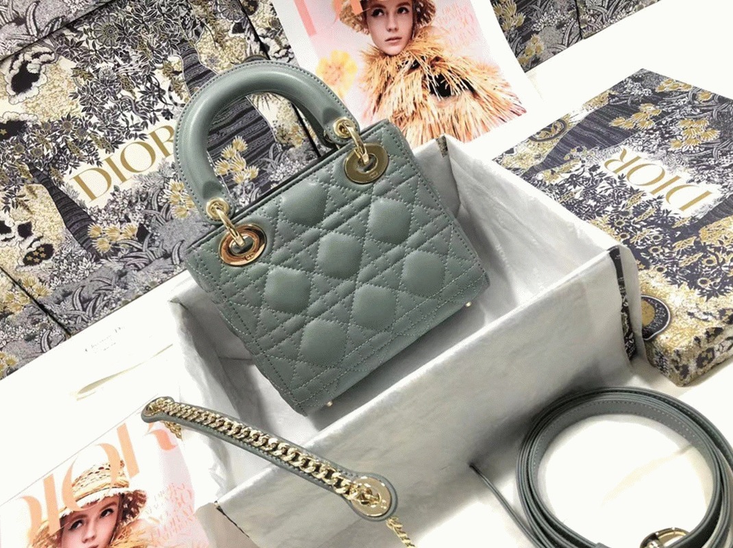 D10r Lady D10r Mini Bag Replica in Grey