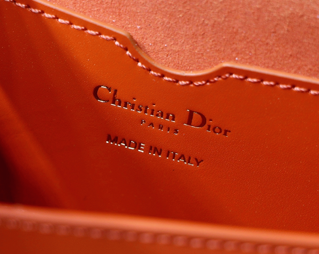 D10r Bobby East-West Bag Replica in Orange