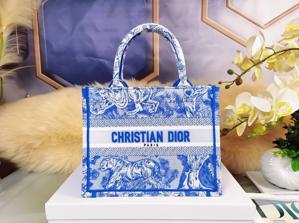 D10r Large Book Tote Bag Fake in Blue Transparent Toile de Jouy Canvas