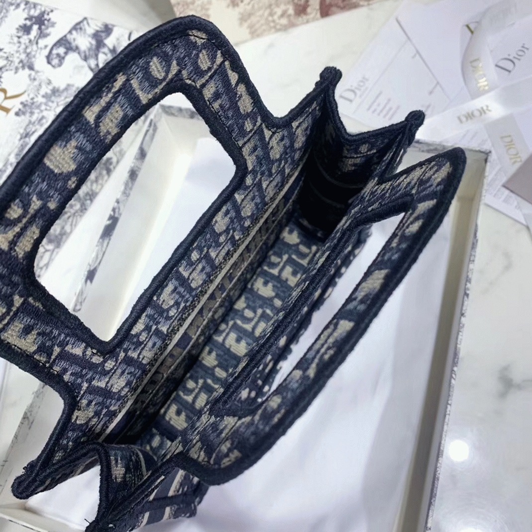 D10r Mini Book Tote Bag Fake in Blue D10r Oblique Embroidery