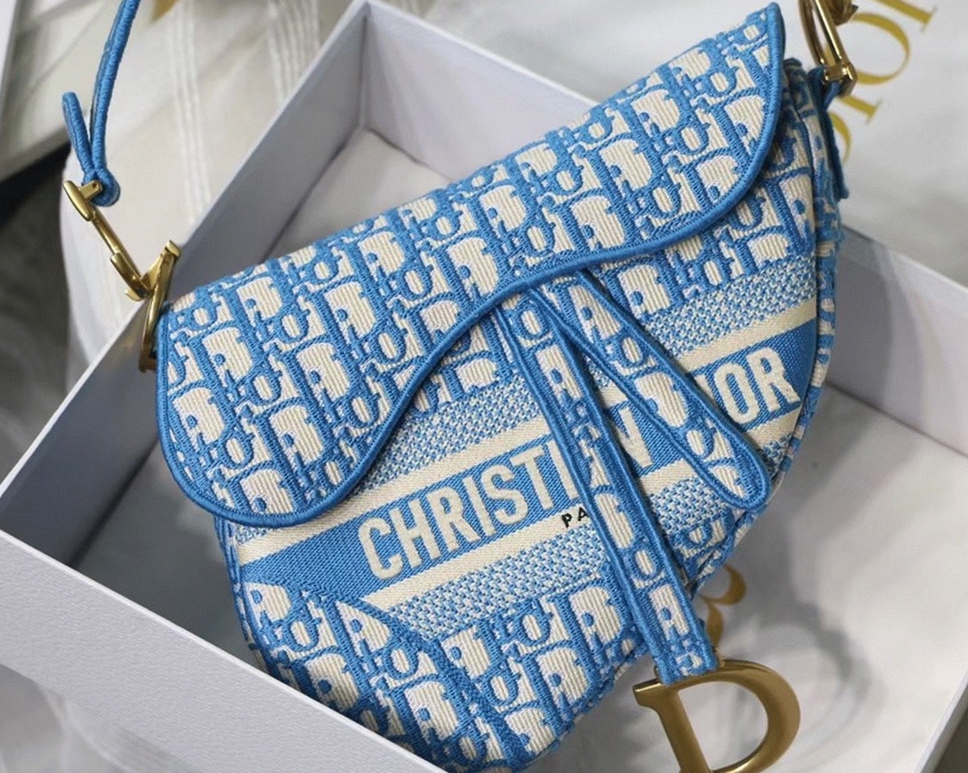 D10r Saddle Bag Fake in Cornflower Blue D10r Oblique Embroidery