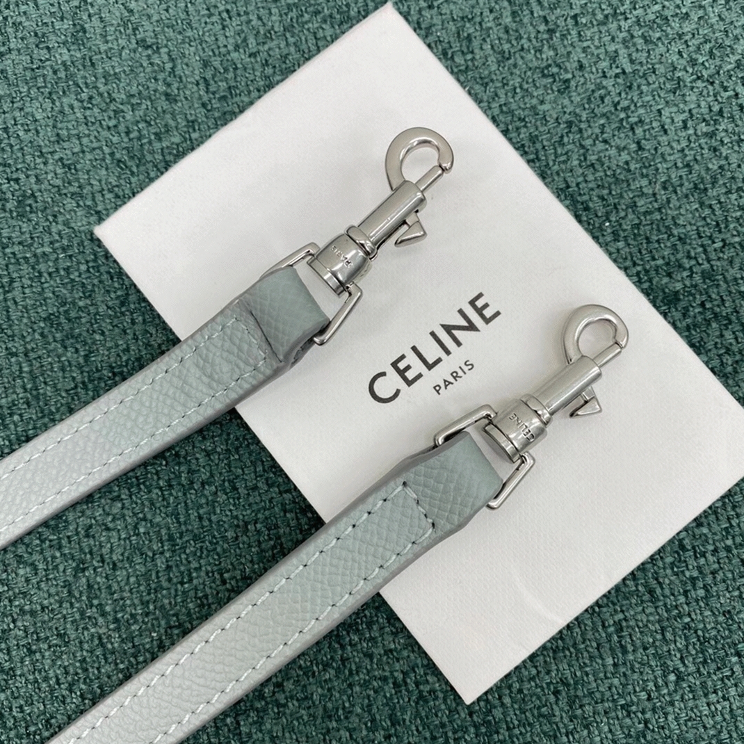 Ce1i*e Belt Nano Bag Replica in Mineral