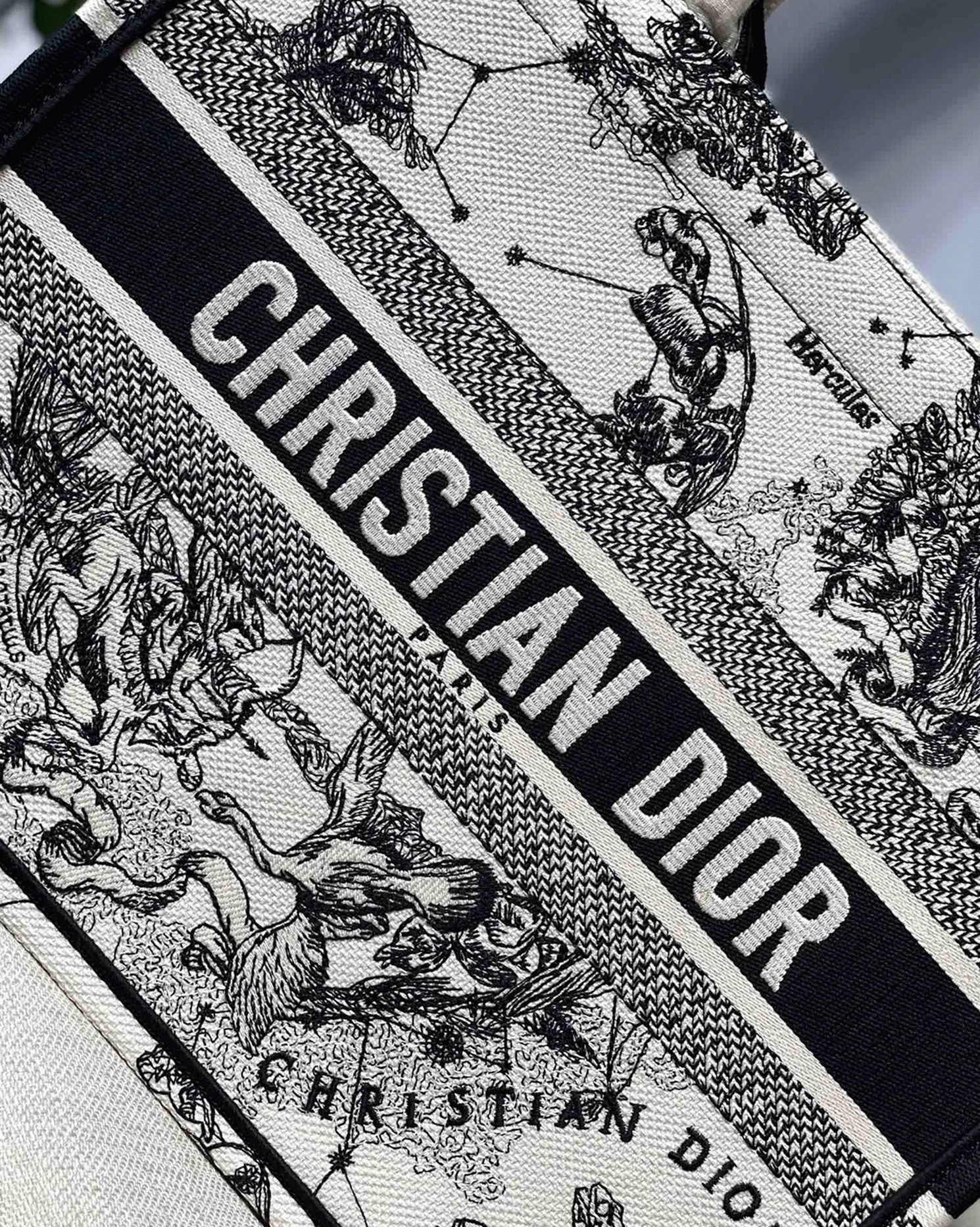 D10r Large Book Tote Bag Replica in White Toile de Jouy Zodiac Embroidery
