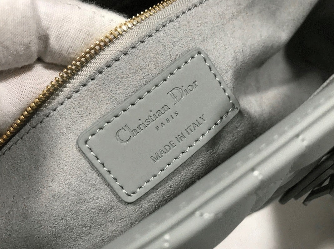 D10r Lady D10r Large Bag Fake in Grey