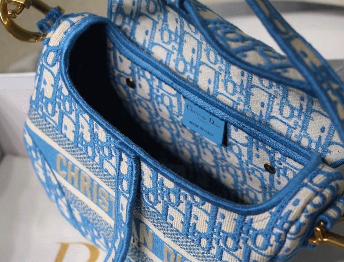 D10r Saddle Bag Fake in Cornflower Blue D10r Oblique Embroidery