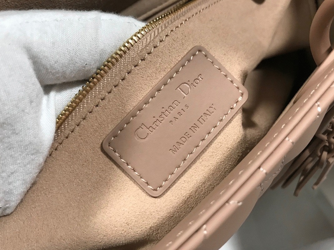 D10r Lady D10r Large Bag Knockoff in Blush
