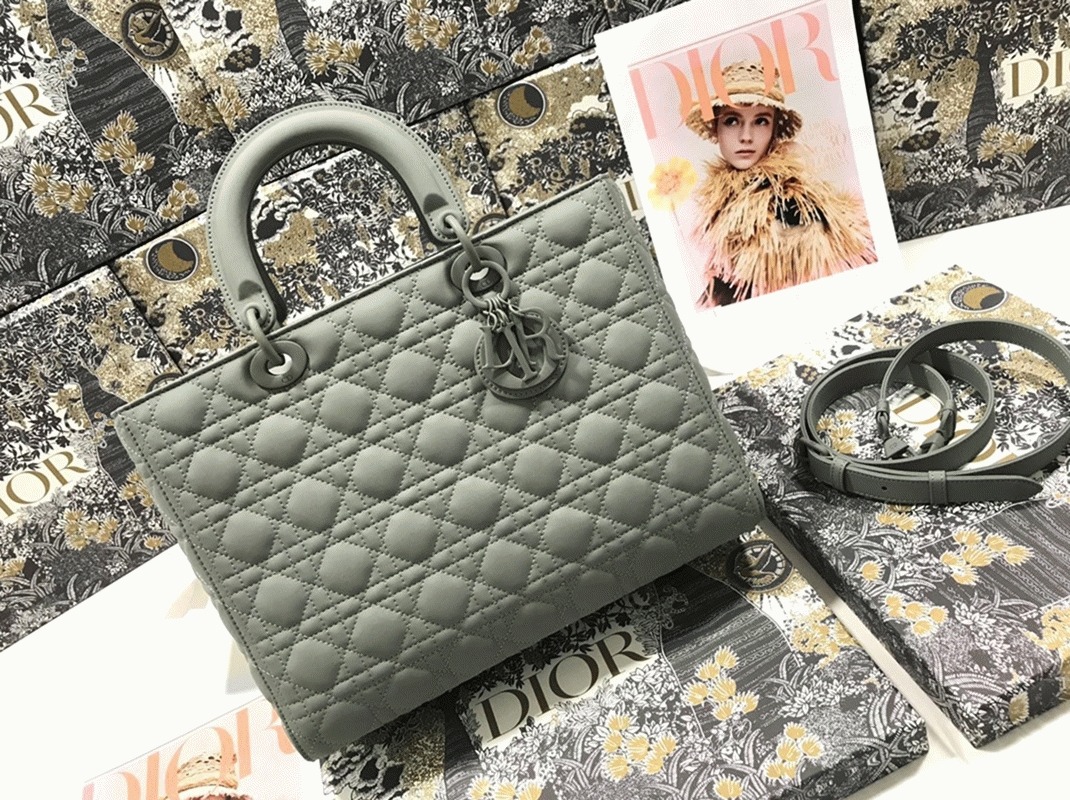 D10r Lady D10r Large Bag Fake in Grey