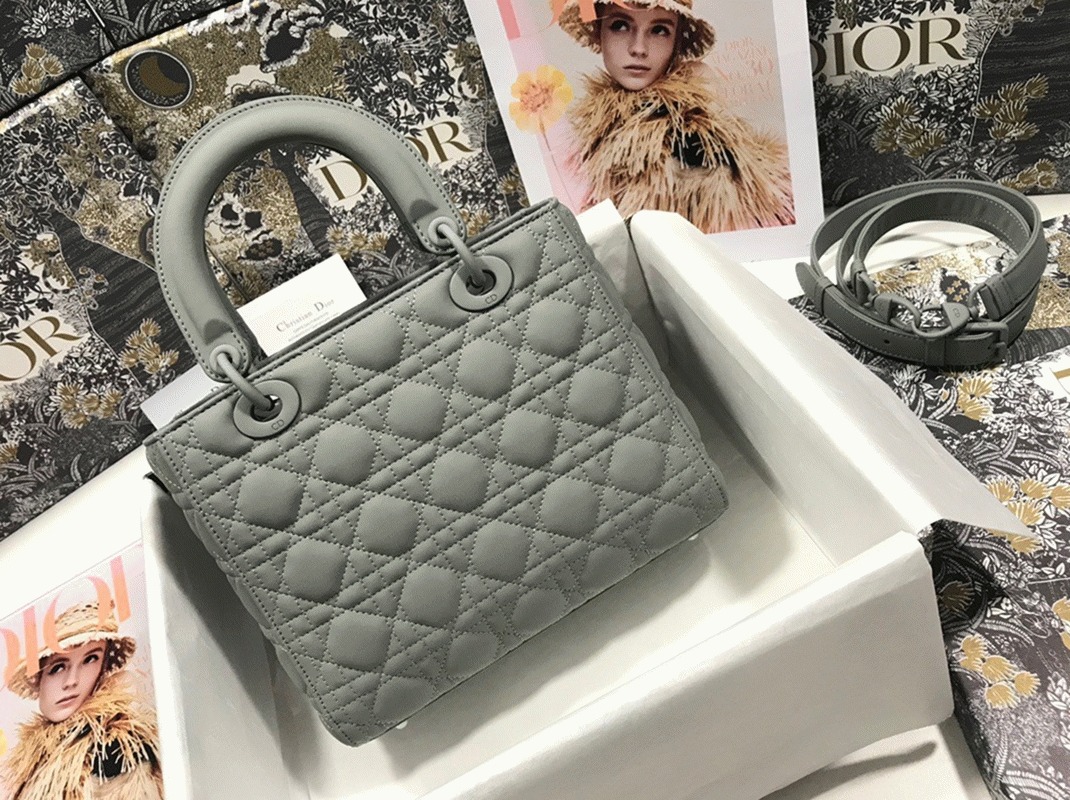 D10r Lady D10r Medium Bag Replica in Grey