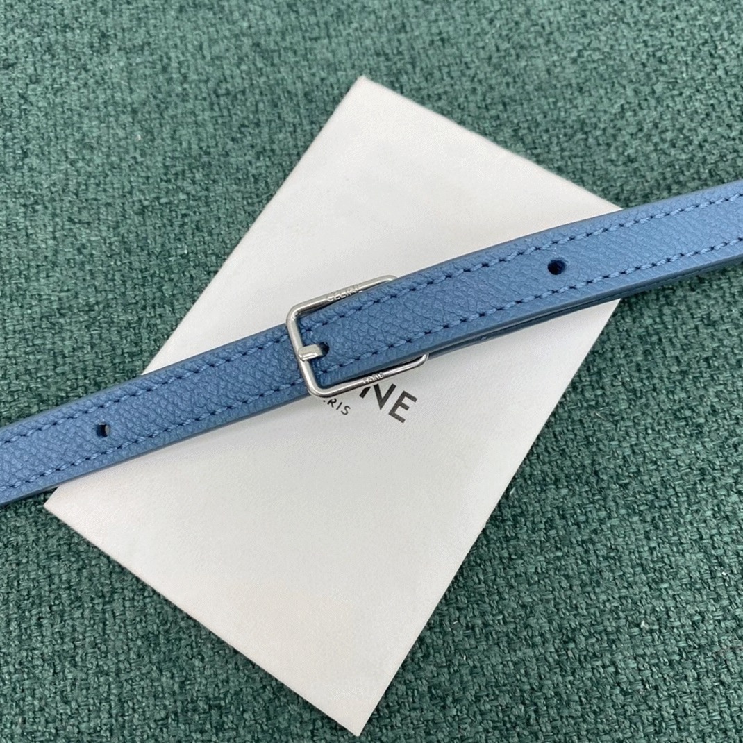 Ce1i*e Belt Nano Bag Replica in Slate Blue