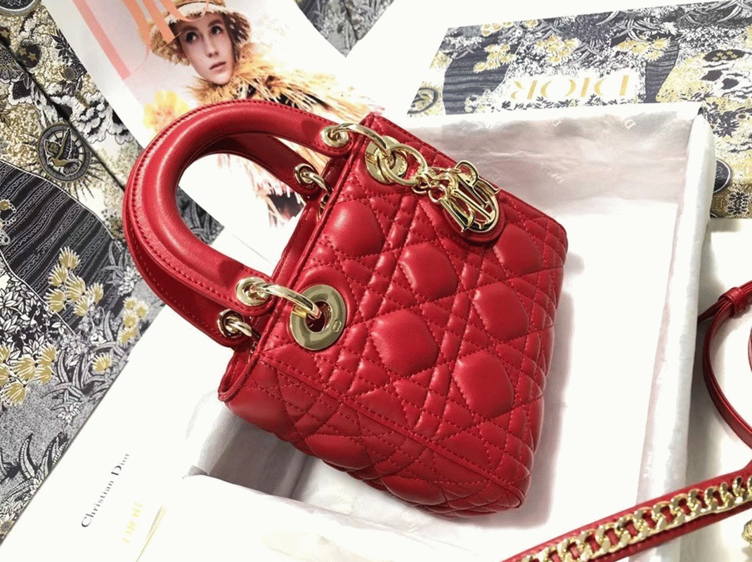 D10r Lady D10r Mini Bag Knockoff in Red