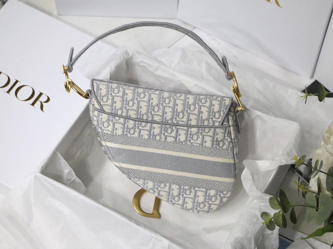 D10r Saddle Bag Knockoff in Grey D10r Oblique Embroidery