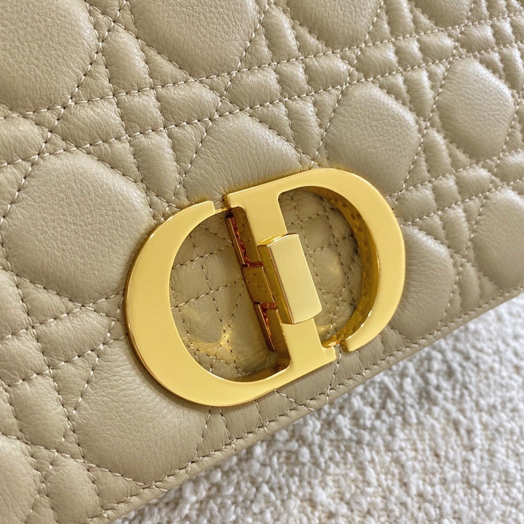 D10r Caro Large Bag Knockoff in Beige