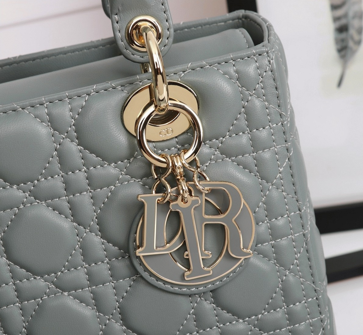 D10r Lady D10r Medium Bag Replica in Grey