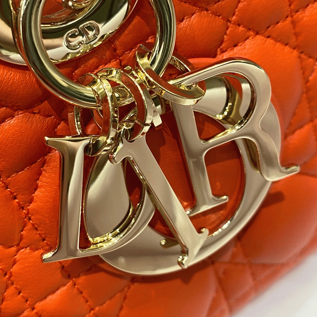 D10r Lady D-Joy Medium Bag Replica in Orange